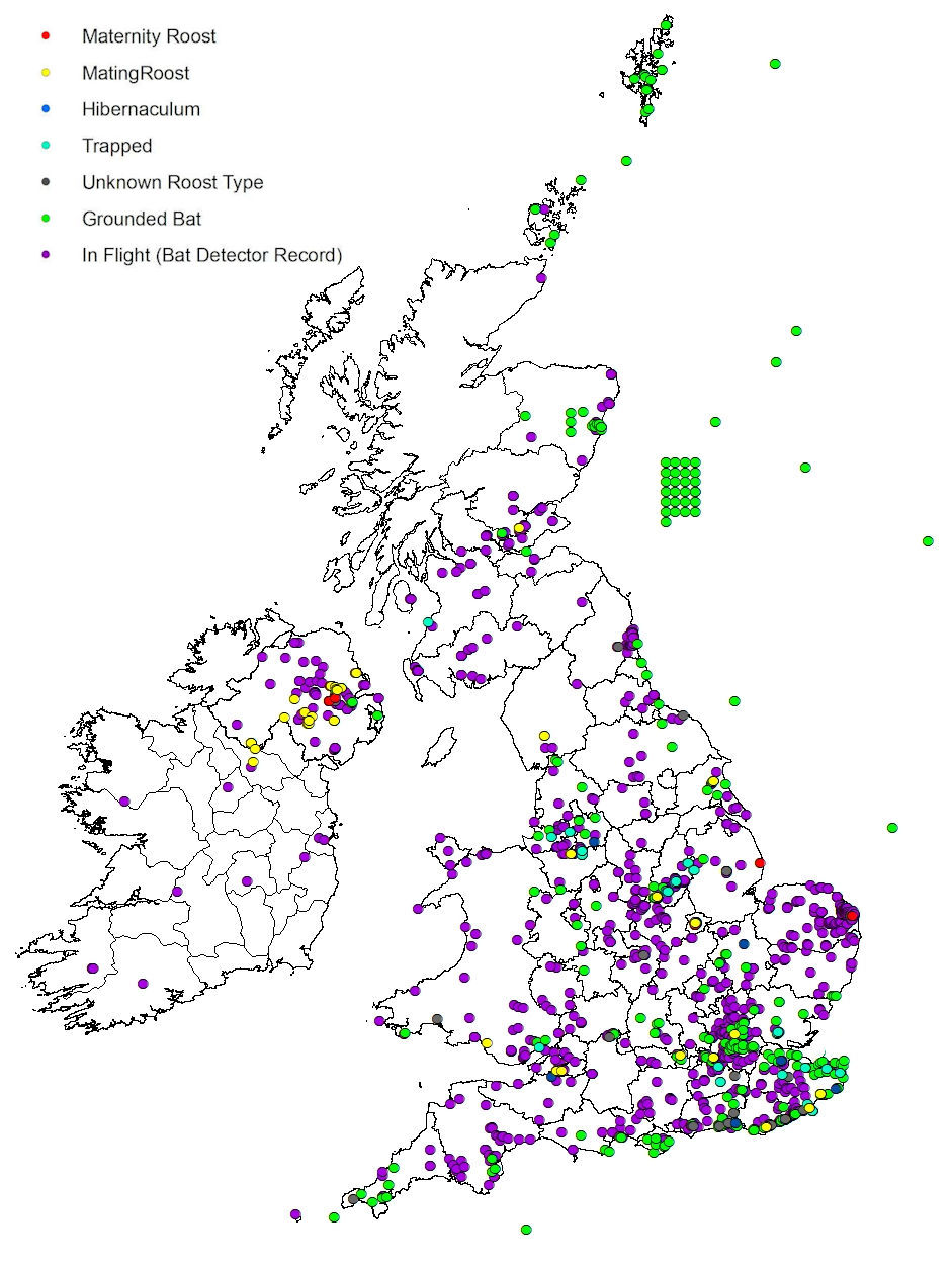 Nathusius' pipistrelle - Distribution